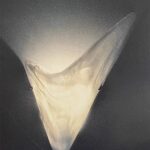 AIRONE applique Bianco di La Murrina in vetro di Murano 1 luce E.27