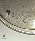 Albinoni P1 Lume di La Murrina in oro 1 luce E.14 - immagine 4