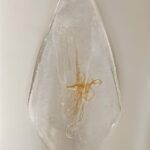 Art. 950 Ricambio di La Murrina Cristallo decoro Ambra