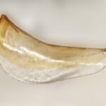 Art.901 mini Ricambio di La Murrina solo Vetro decoro Topazio