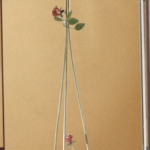 Lady Piantana 482/PTE di Padana Lampadari 3 Luci E14